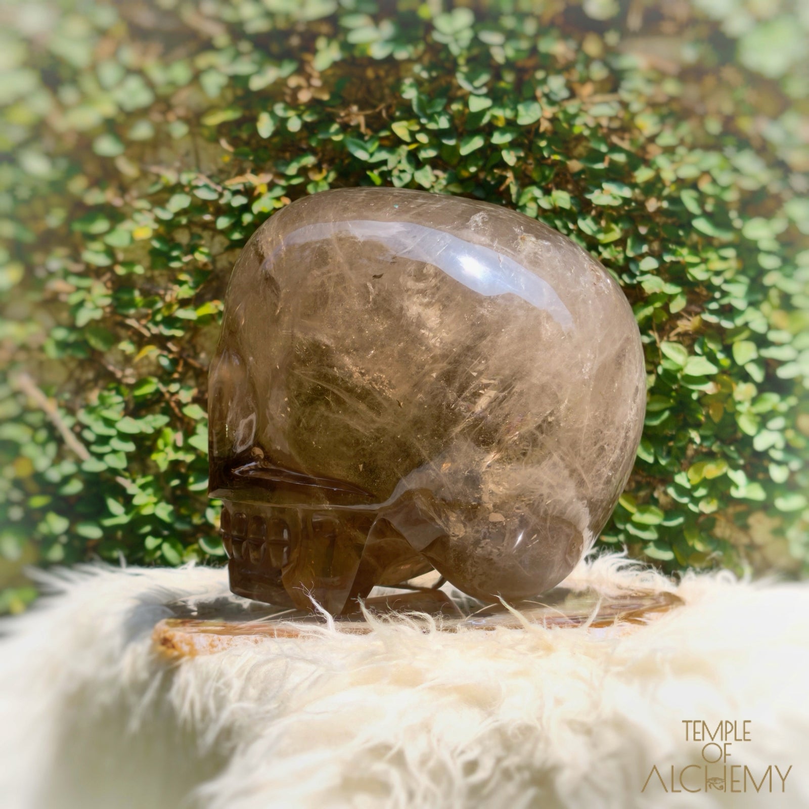 Smoky Citrine Sirius Quartz
