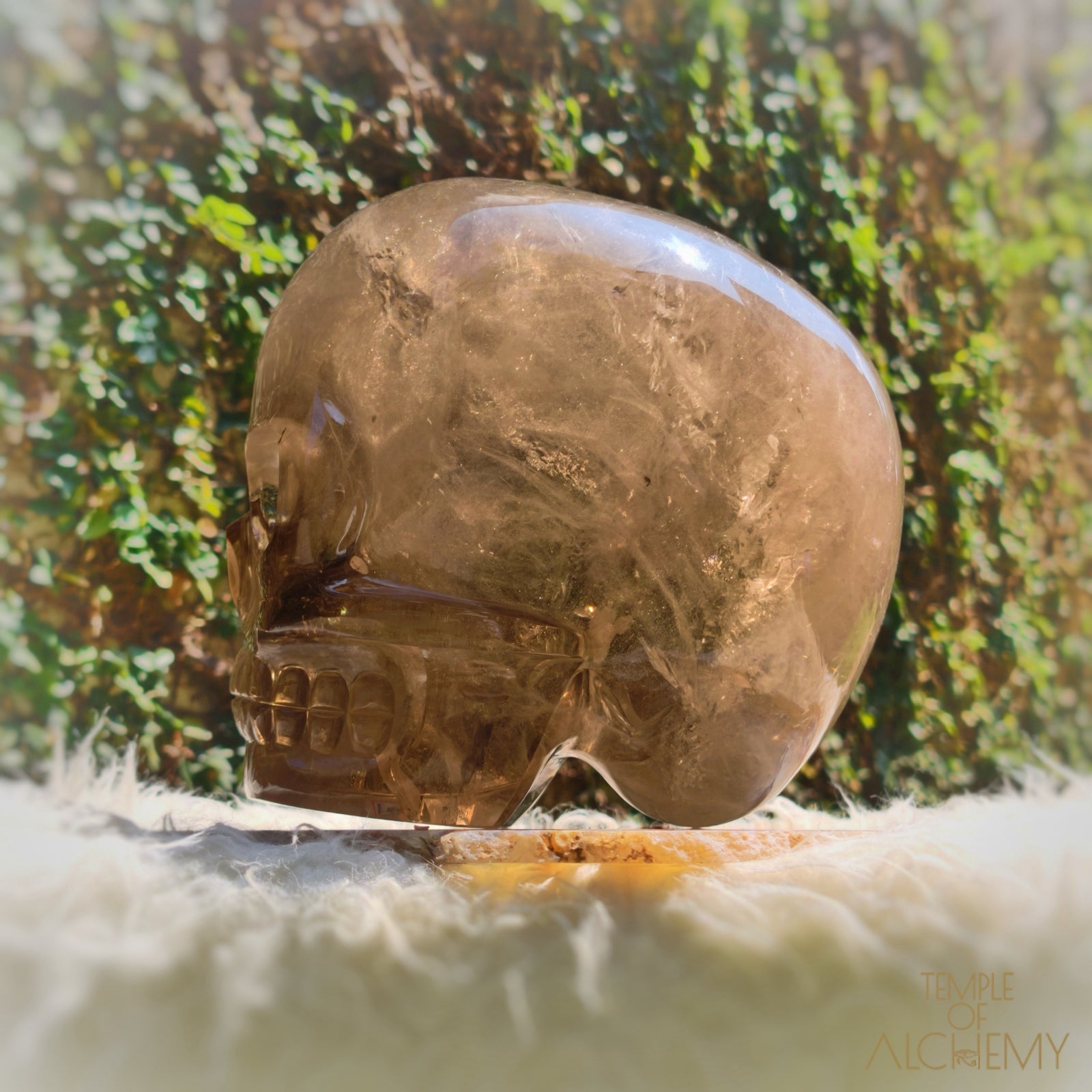 Smoky Citrine Sirius Quartz