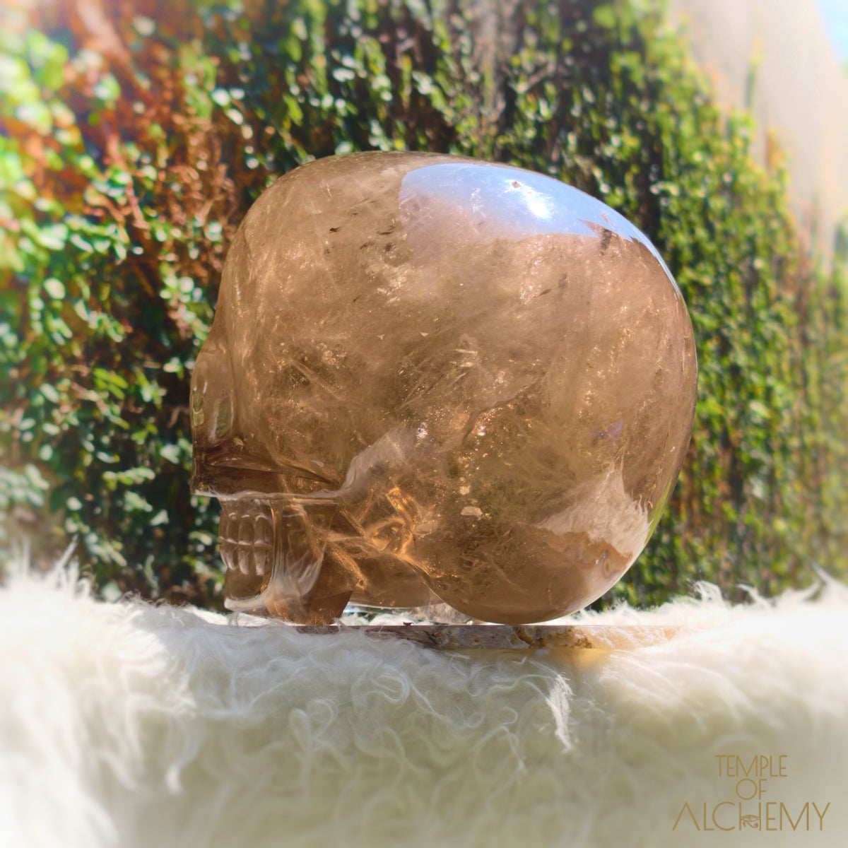Smoky Citrine Sirius Quartz