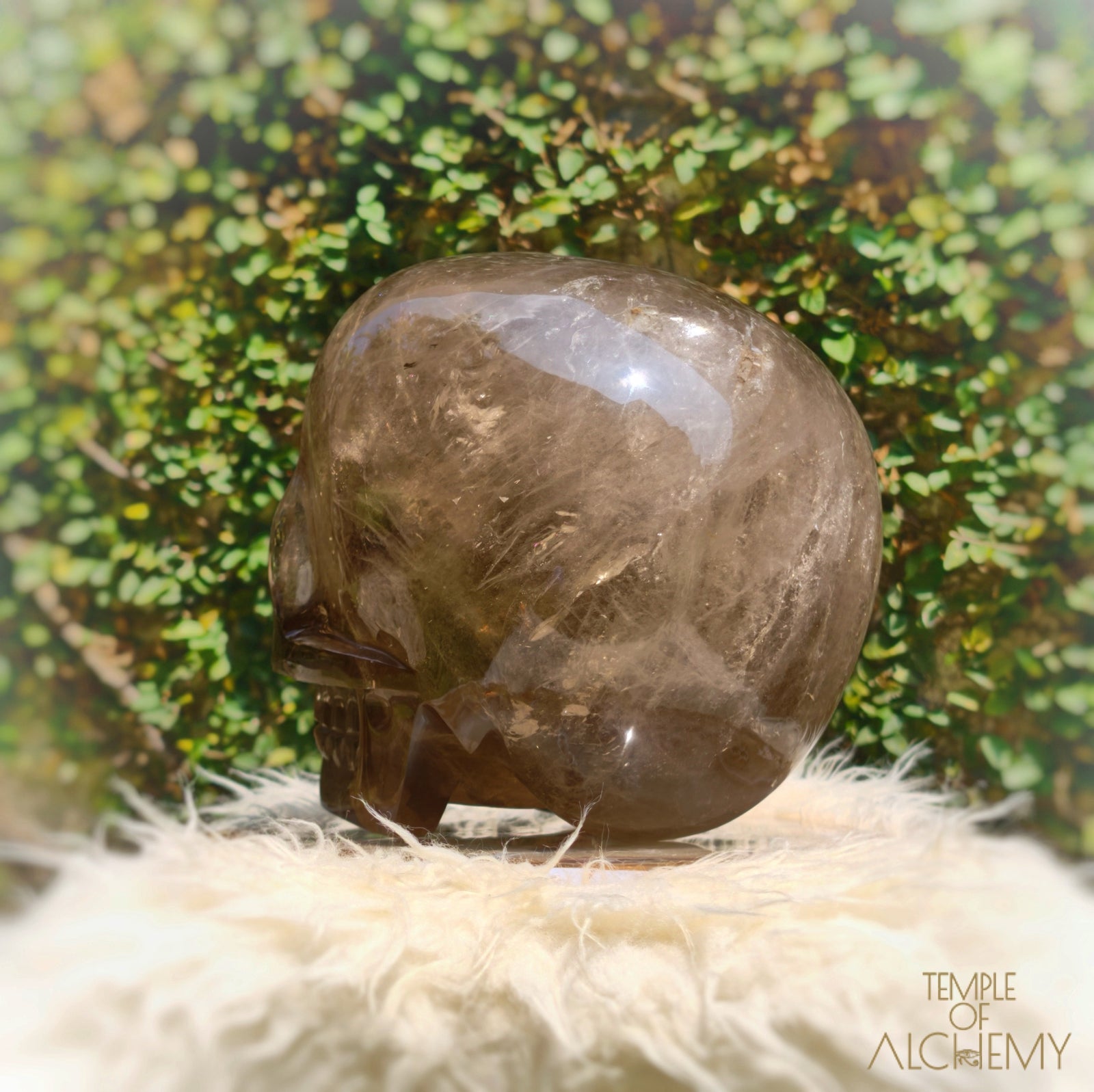 Smoky Citrine Sirius Quartz