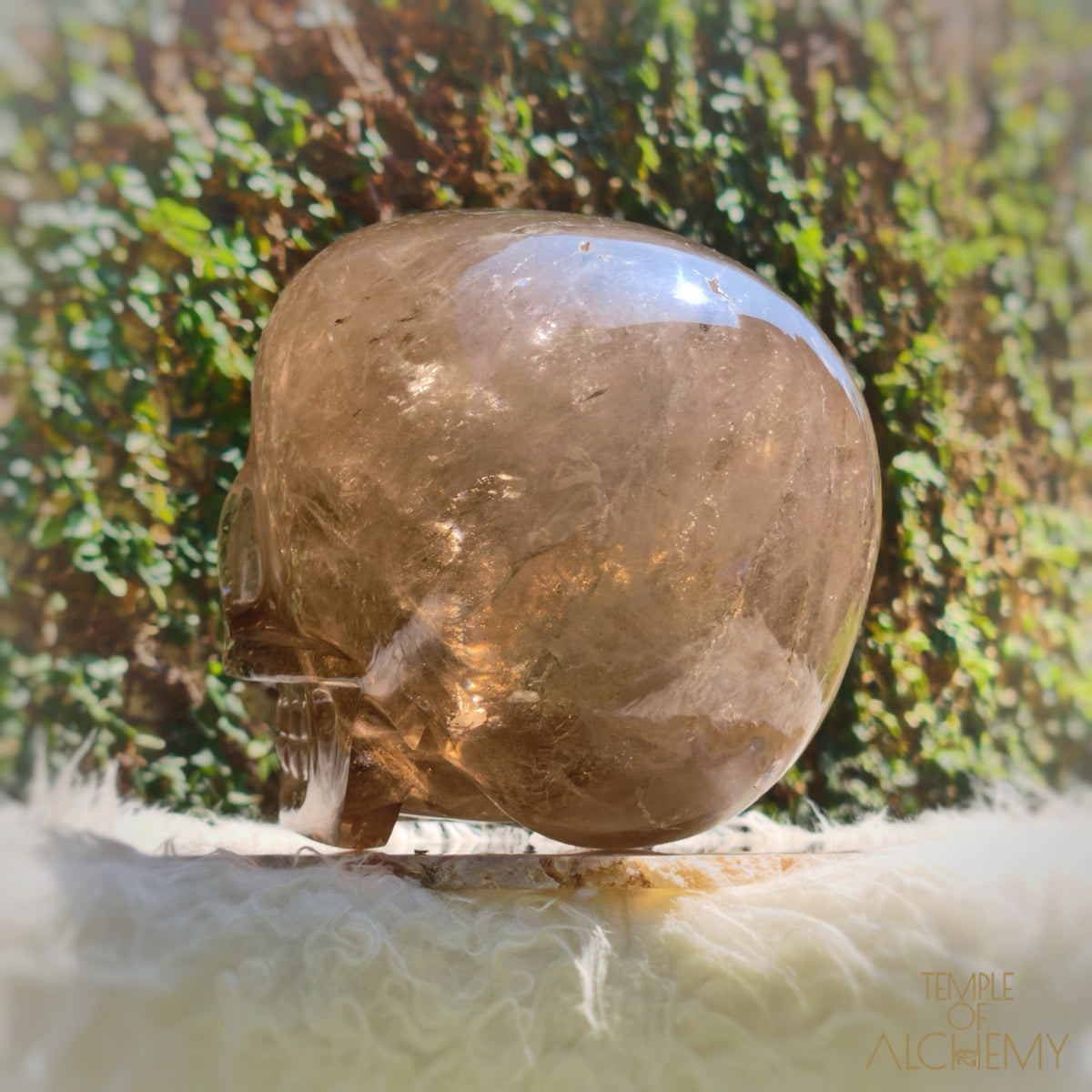 Smoky Citrine Sirius Quartz