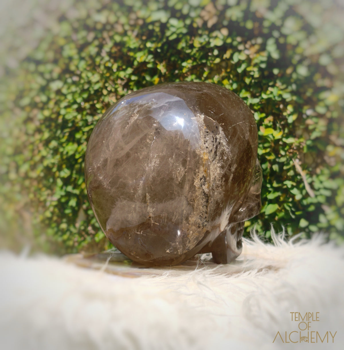 Smoky Citrine Sirius Quartz