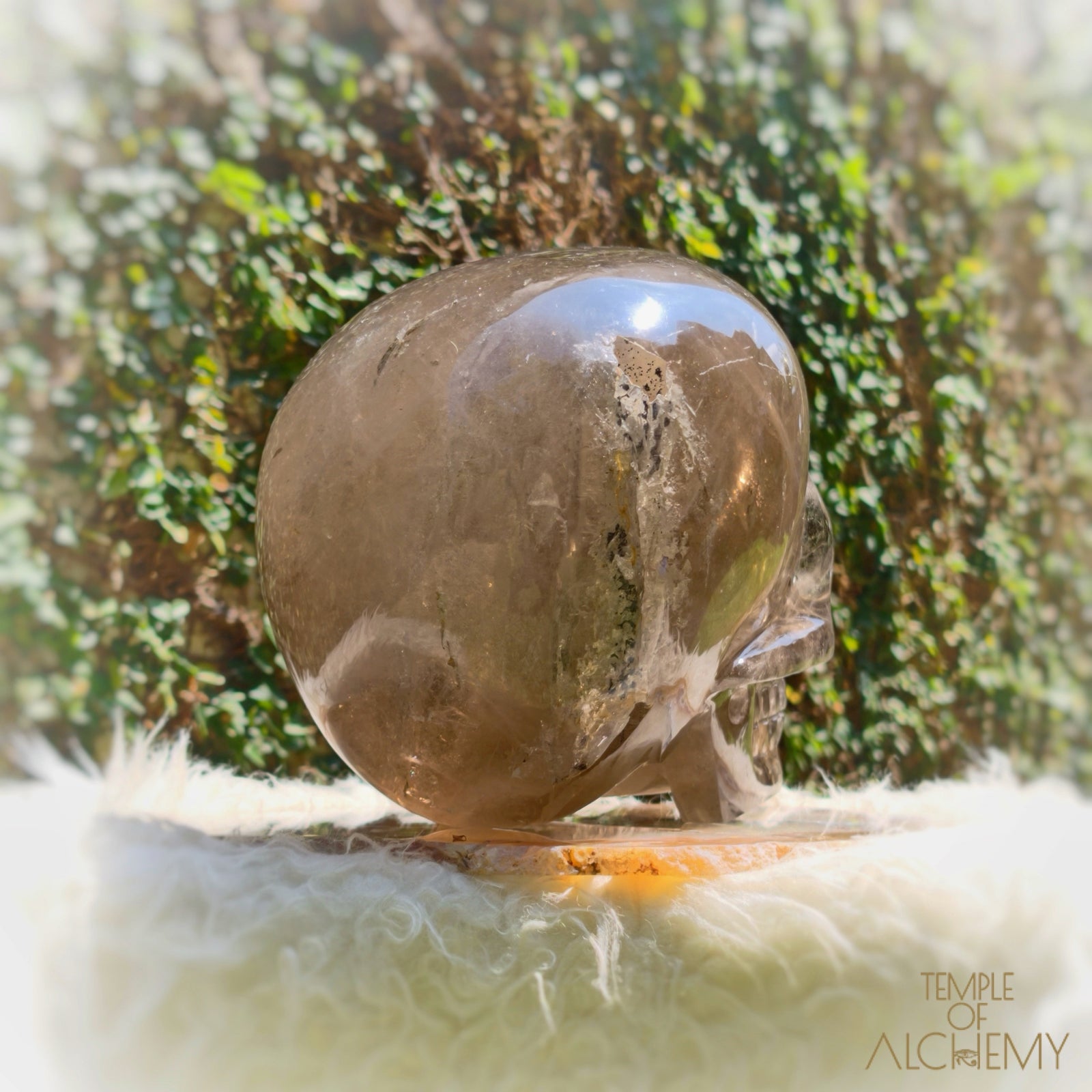 Smoky Citrine Sirius Quartz