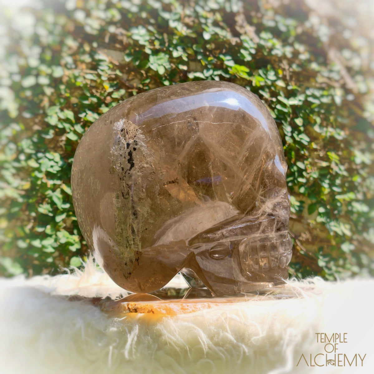 Smoky Citrine Sirius Quartz