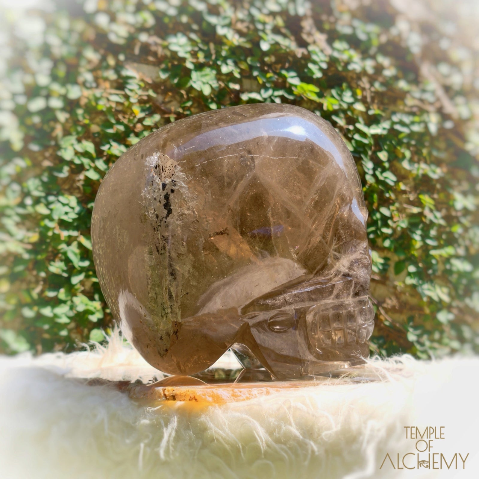 Smoky Citrine Sirius Quartz