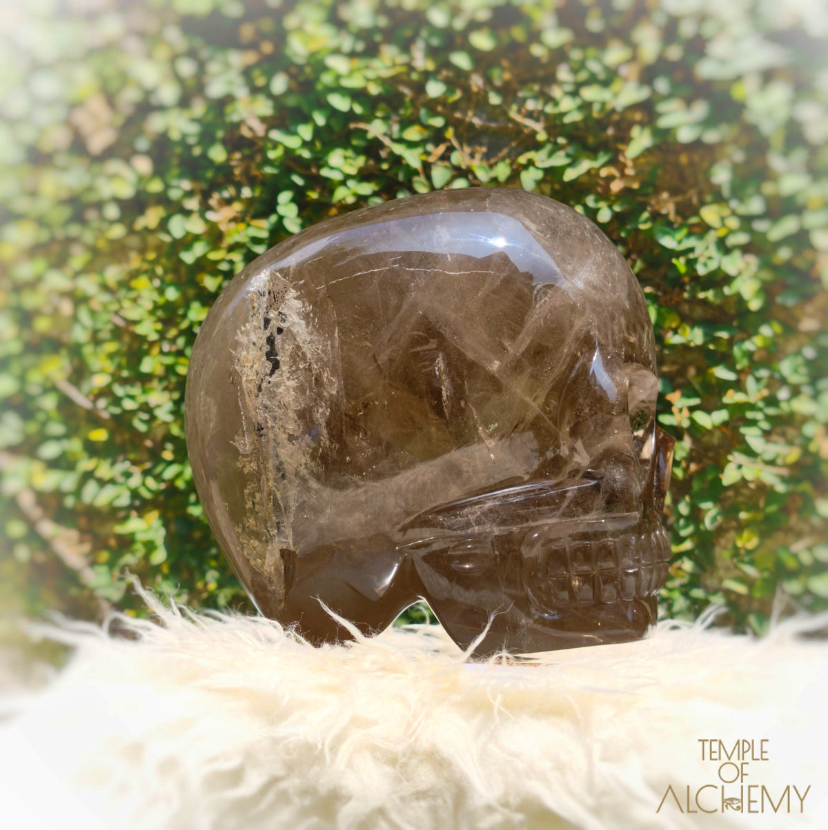 Smoky Citrine Sirius Quartz