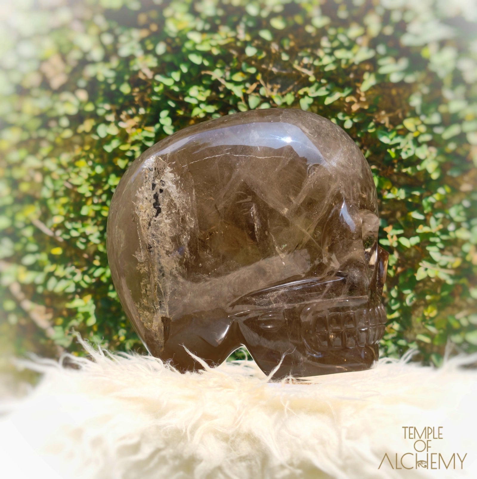 Smoky Citrine Sirius Quartz
