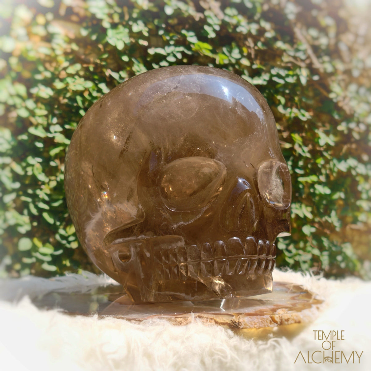 Smoky Citrine Sirius Quartz