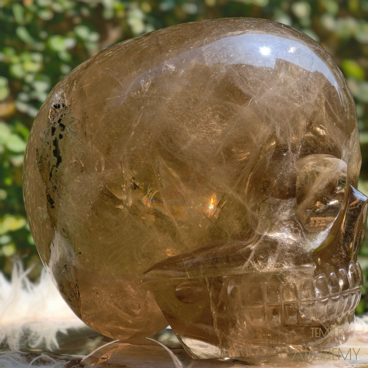 Smoky Citrine Sirius Quartz