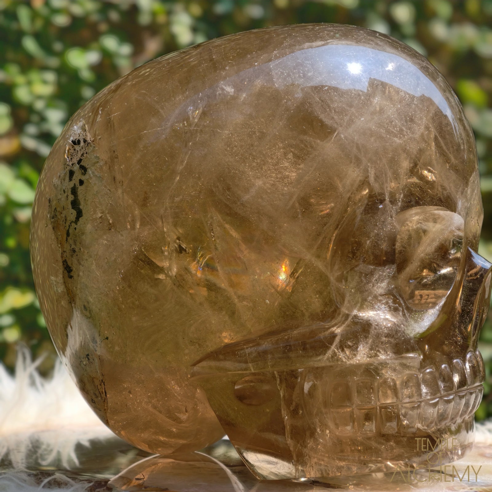 Smoky Citrine Sirius Quartz