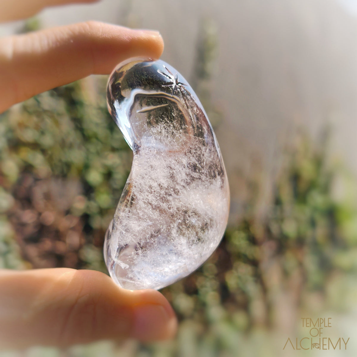 Lemurian