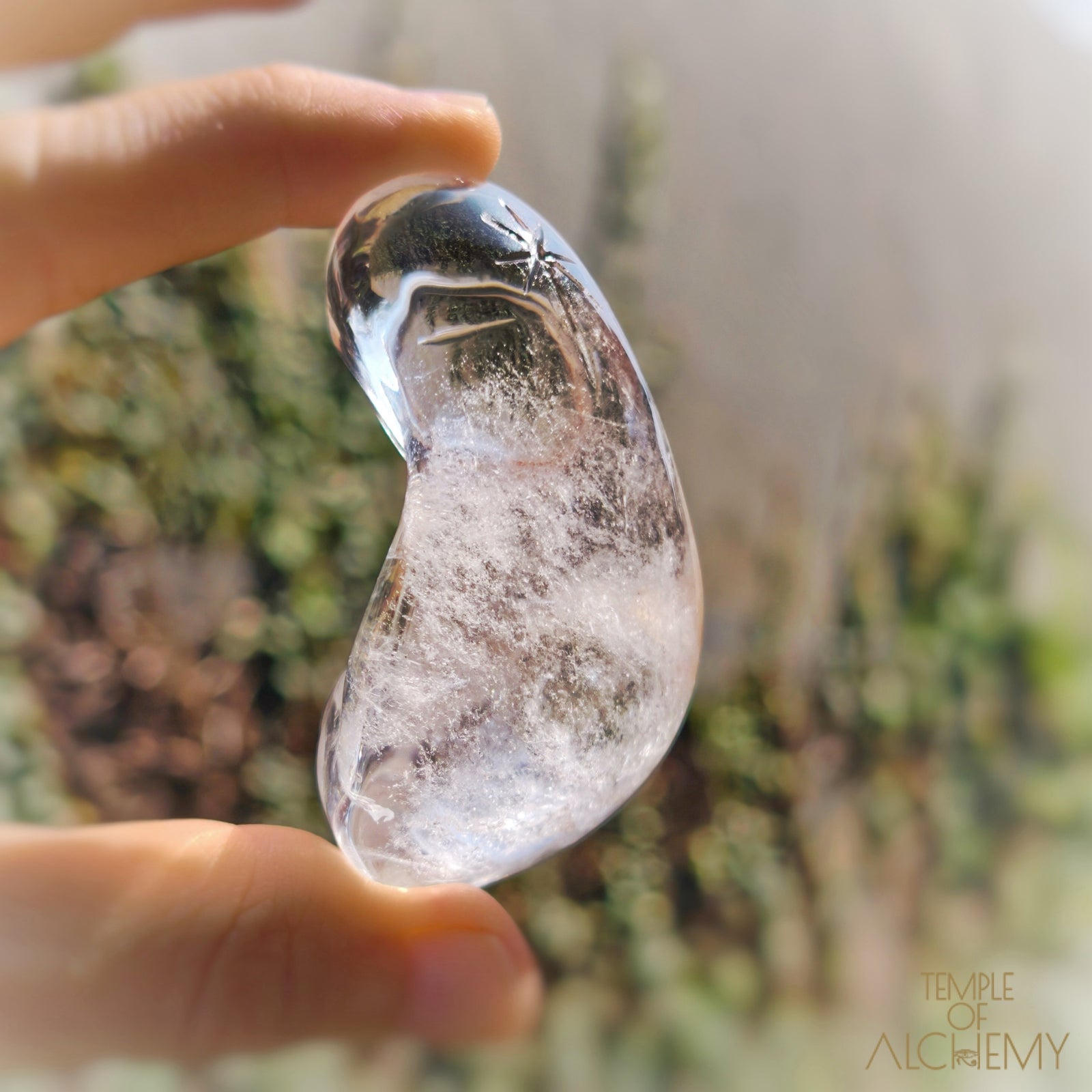 Lemurian