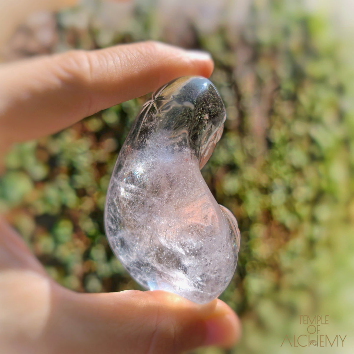 Lemurian