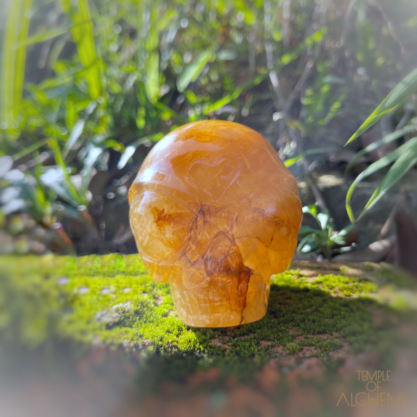 Golden Healer x Hematoid Quartz