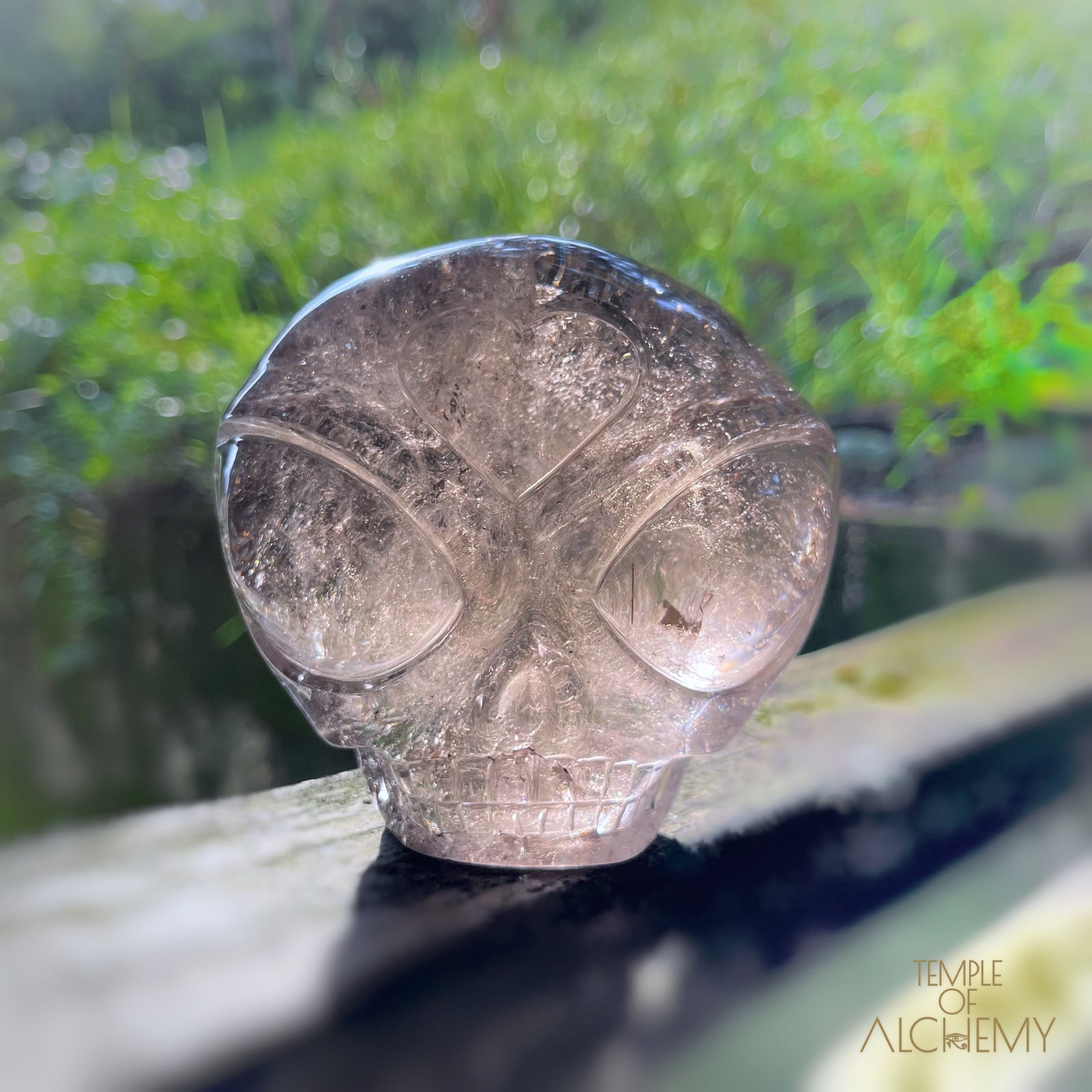 Smoky Quartz X Golden Rutiles