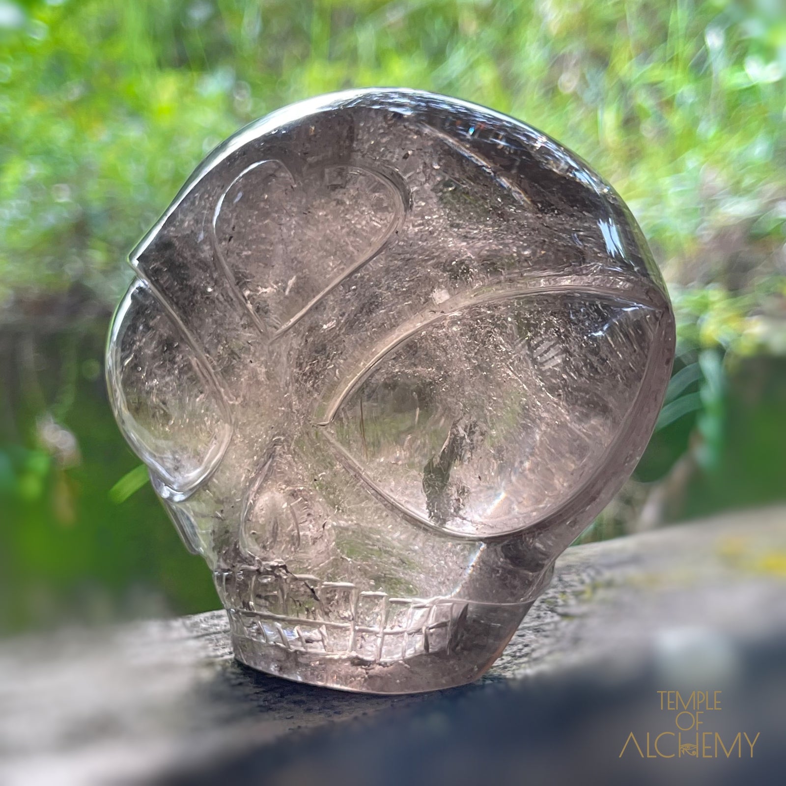 Smoky Quartz X Golden Rutiles