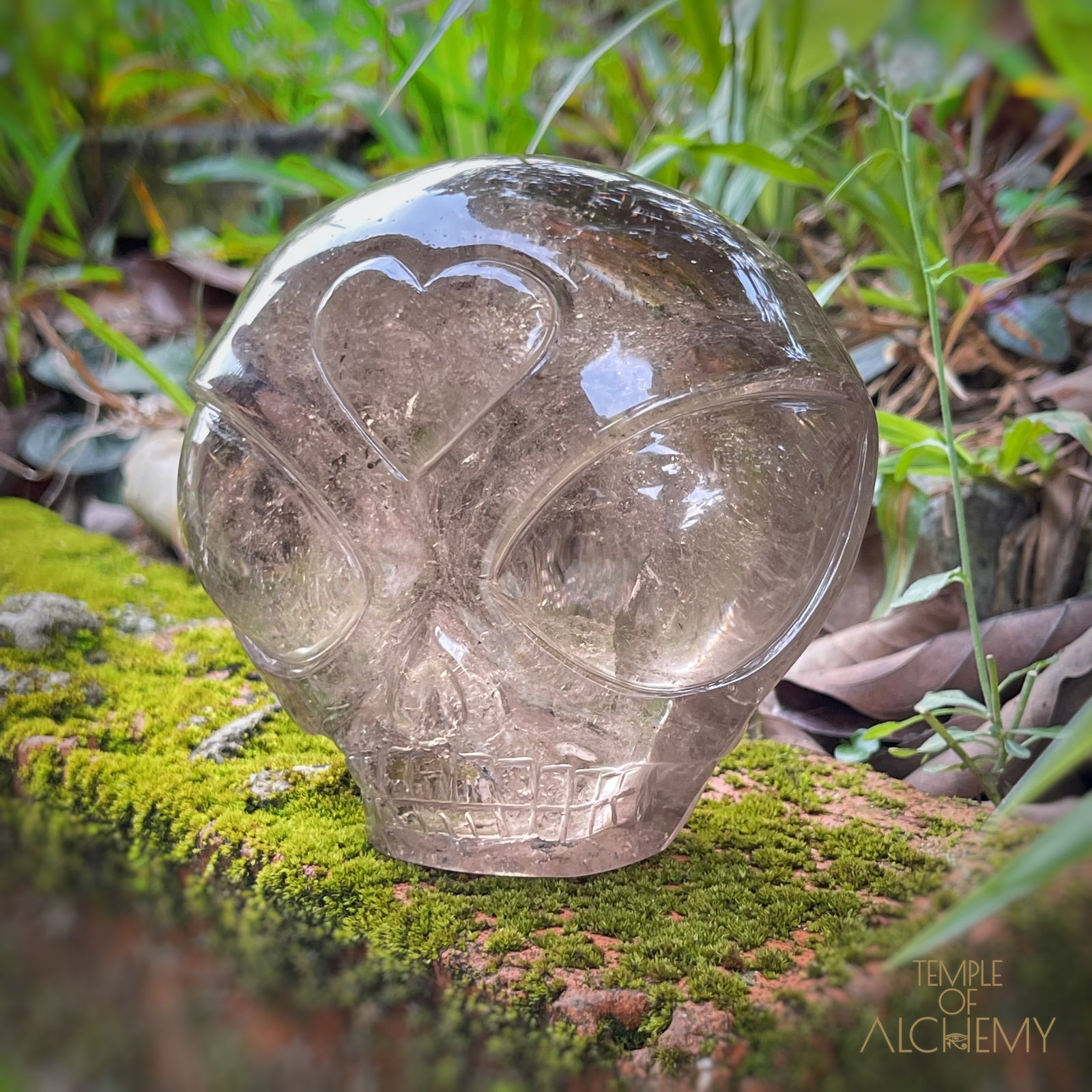 Smoky Quartz X Golden Rutiles