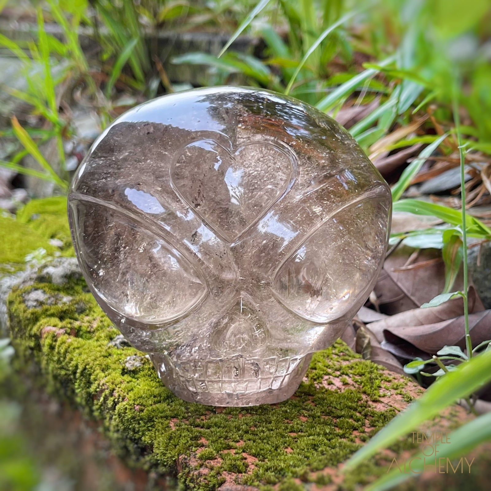 Smoky Quartz X Golden Rutiles