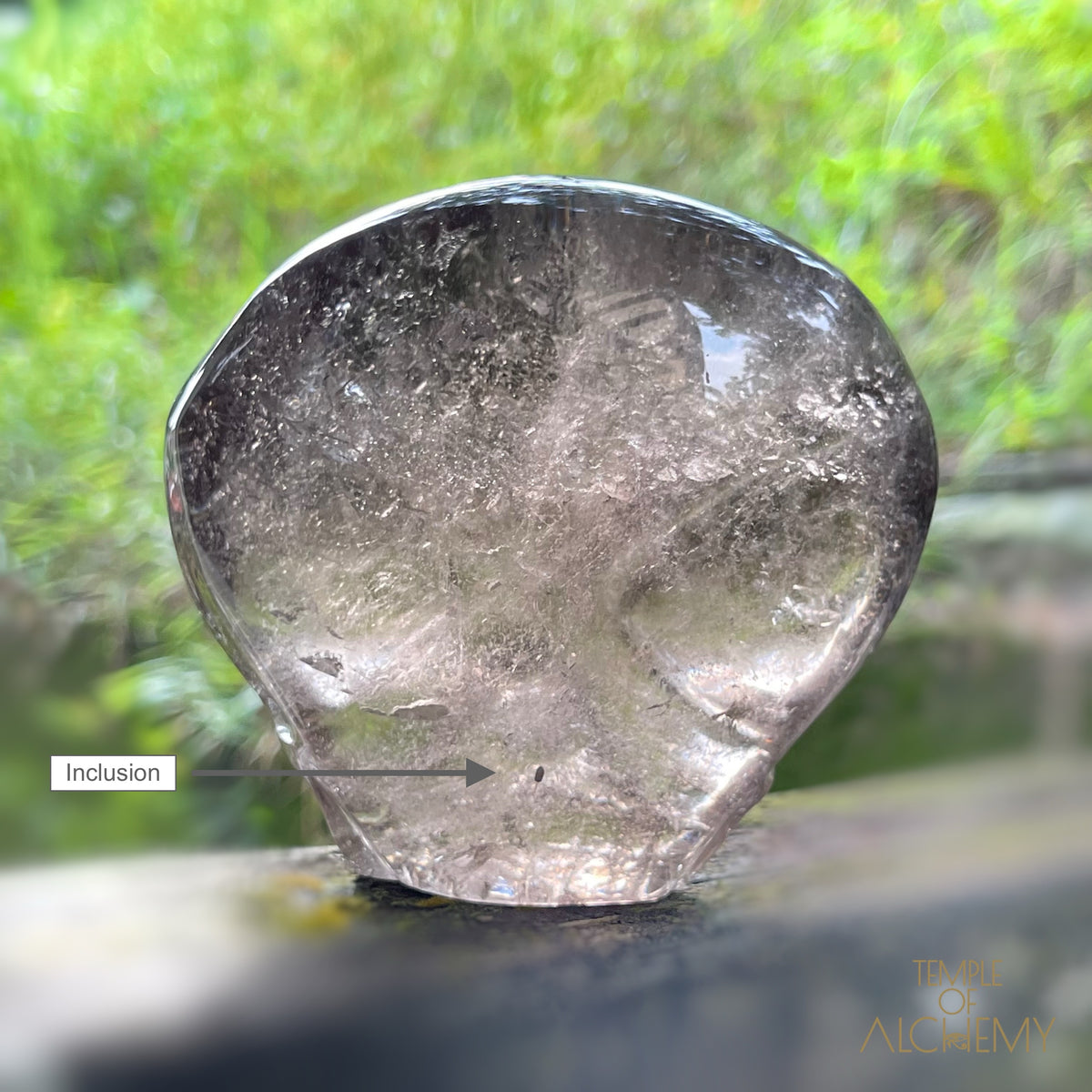 Smoky Quartz X Golden Rutiles