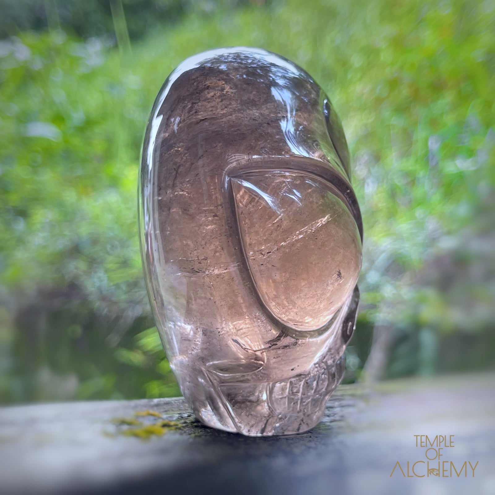 Smoky Quartz X Golden Rutiles