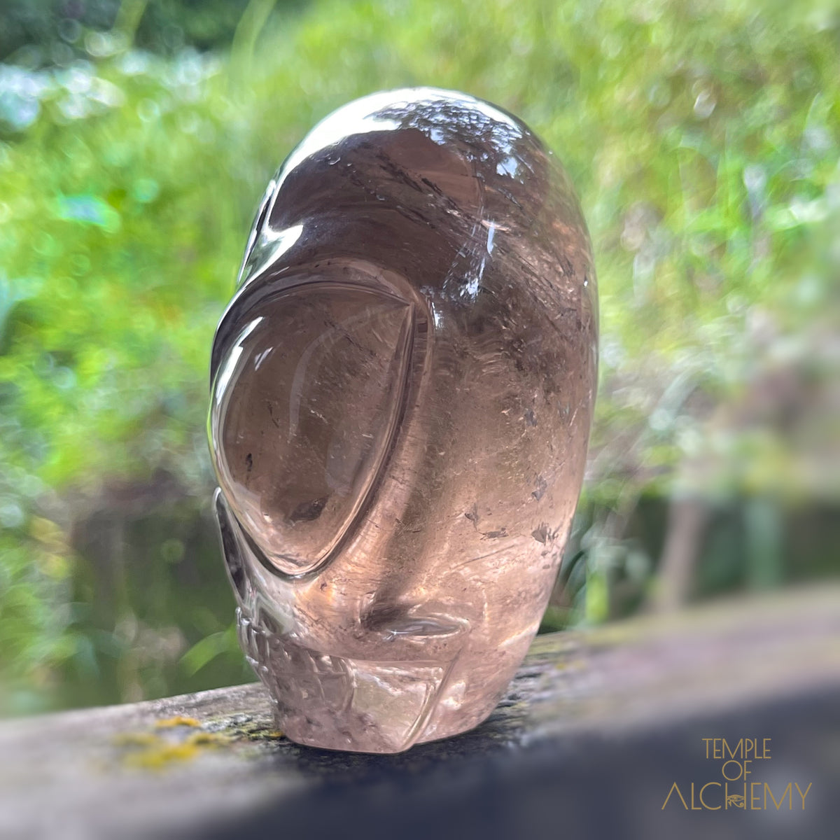 Smoky Quartz X Golden Rutiles