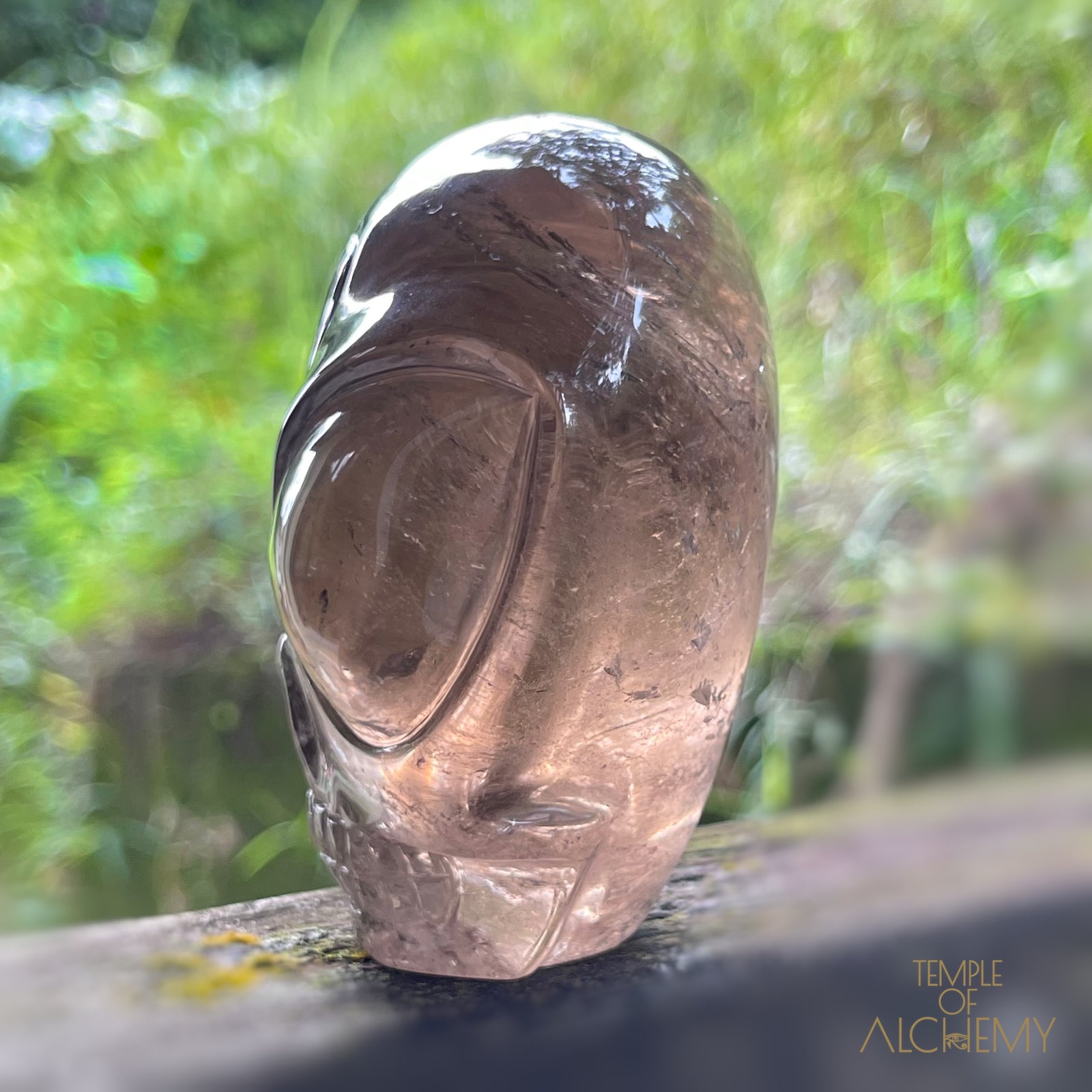 Smoky Quartz X Golden Rutiles