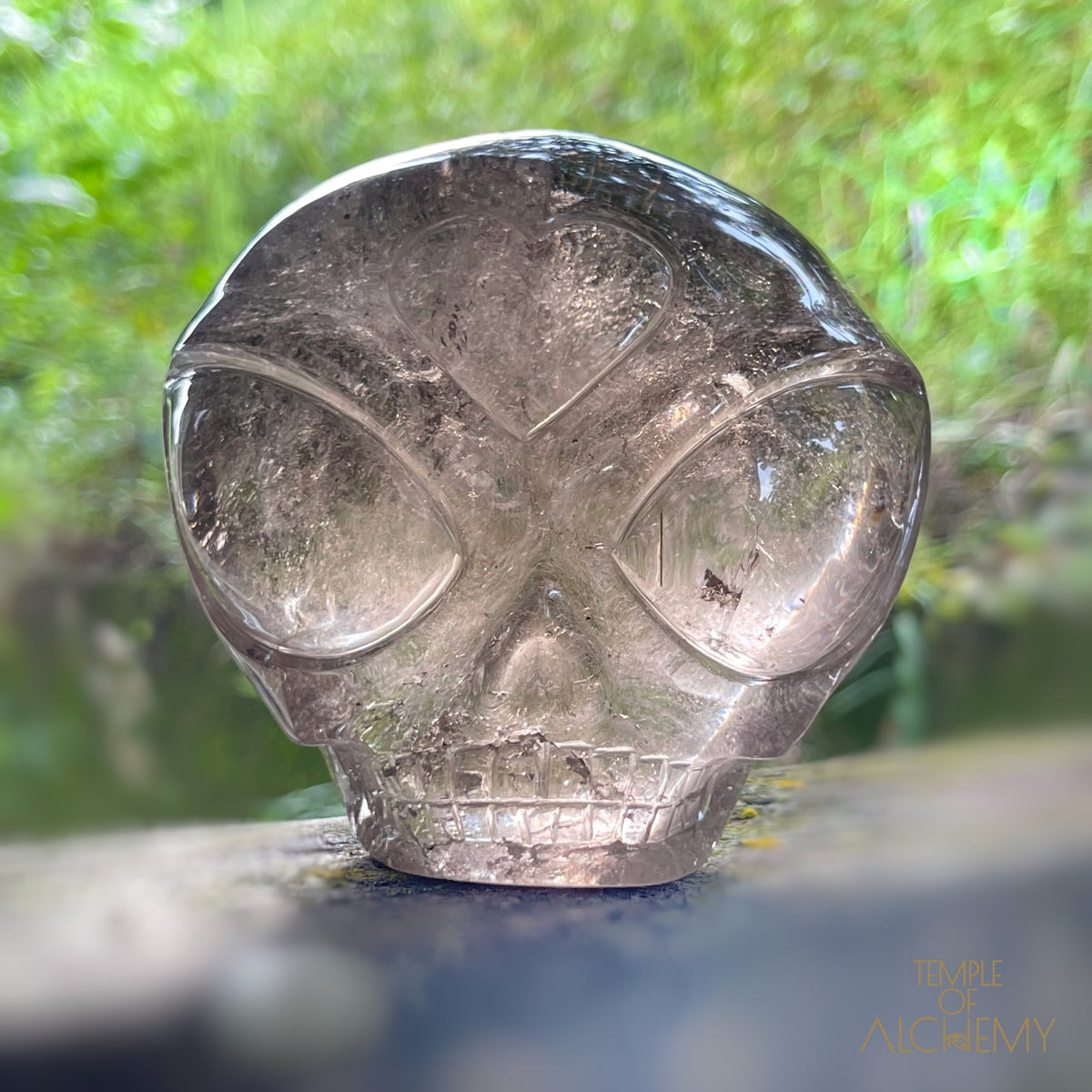 Smoky Quartz X Golden Rutiles