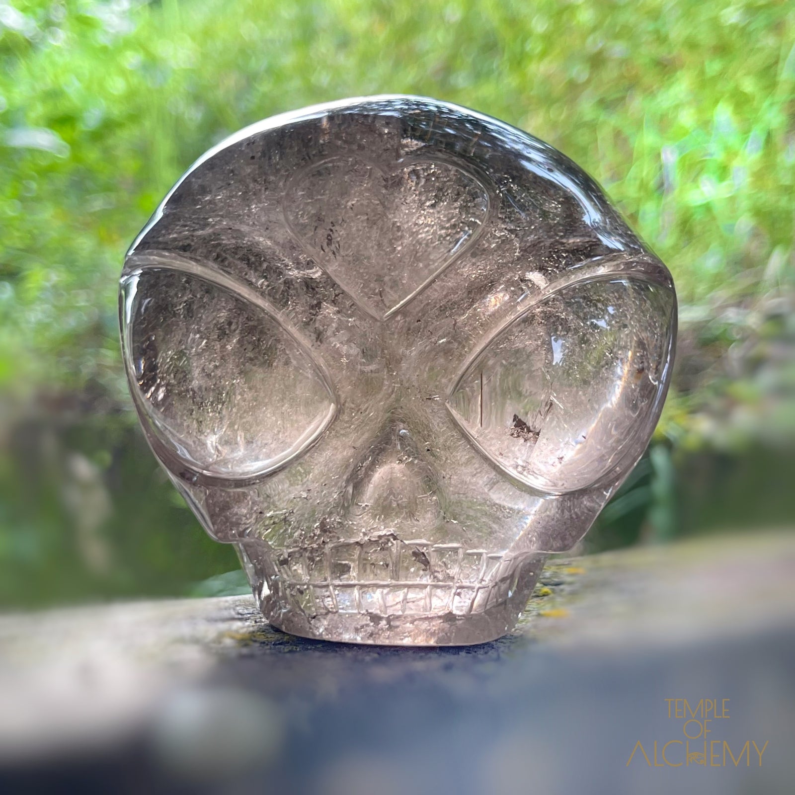 Smoky Quartz X Golden Rutiles