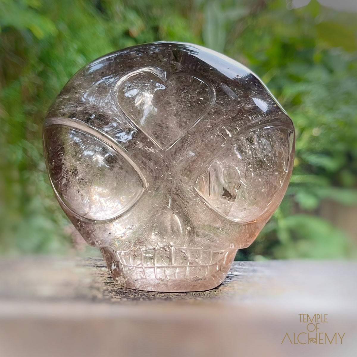 Smoky Quartz X Golden Rutiles