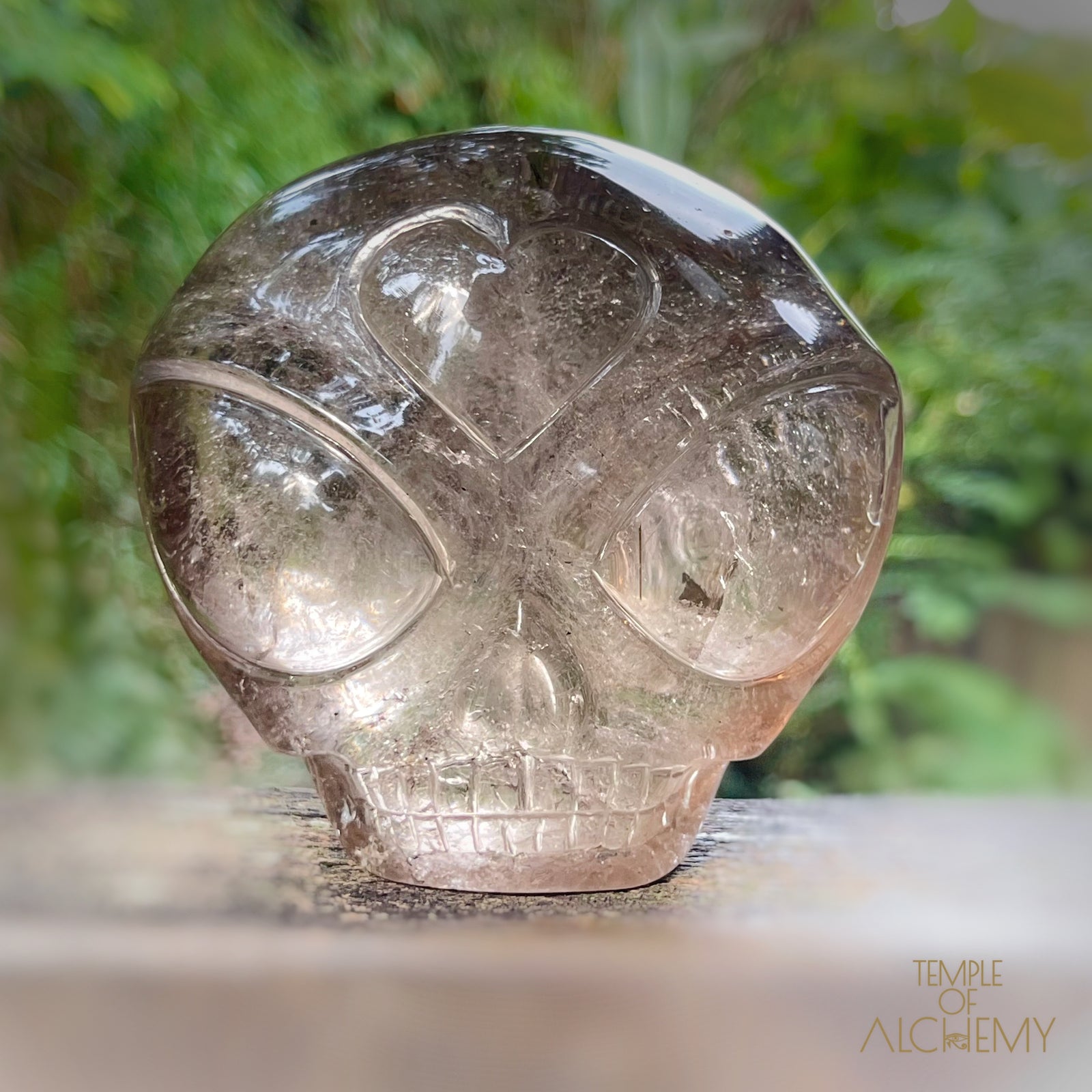 Smoky Quartz X Golden Rutiles