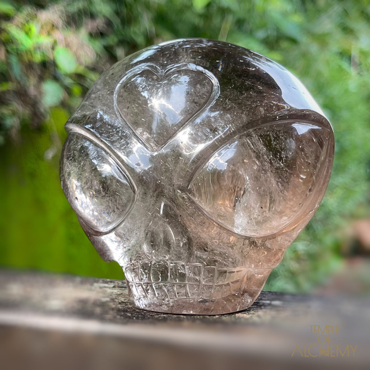 Smoky Quartz X Golden Rutiles