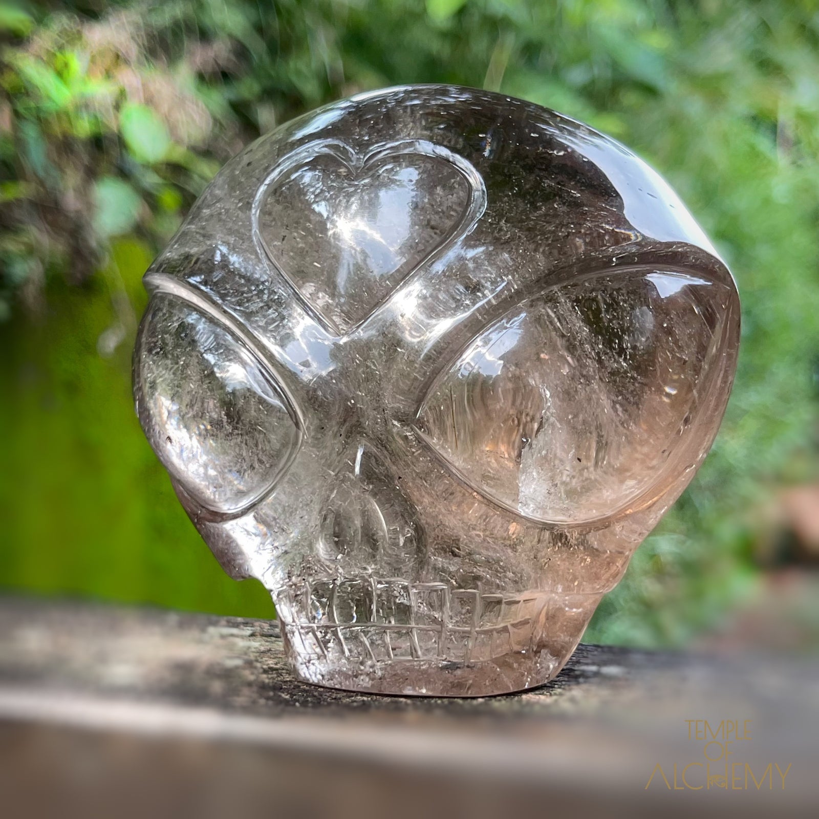 Smoky Quartz X Golden Rutiles