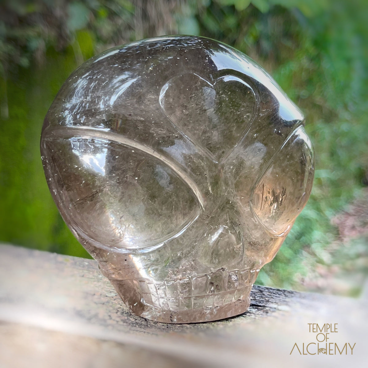 Smoky Quartz X Golden Rutiles