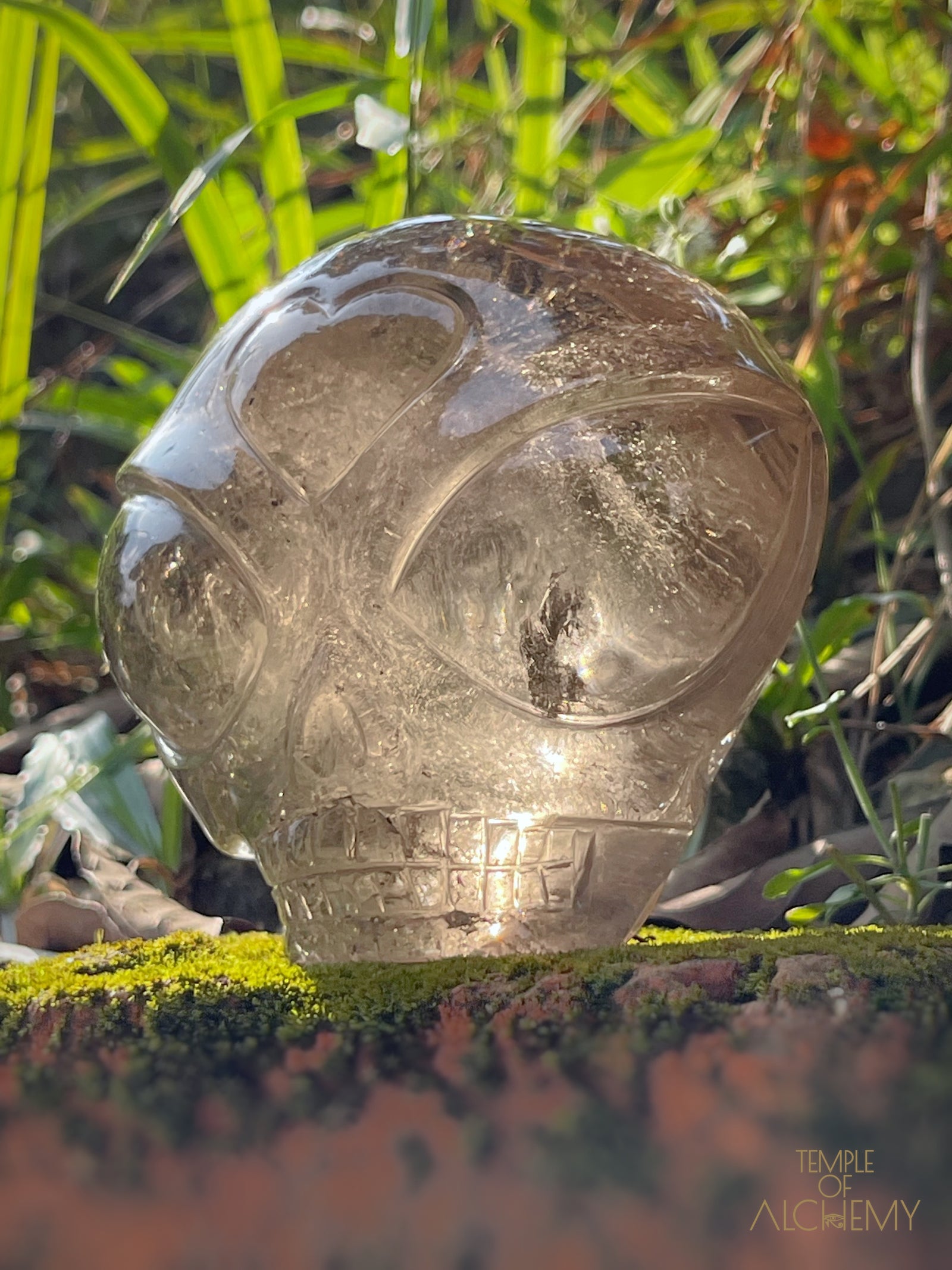 Smoky Quartz X Golden Rutiles