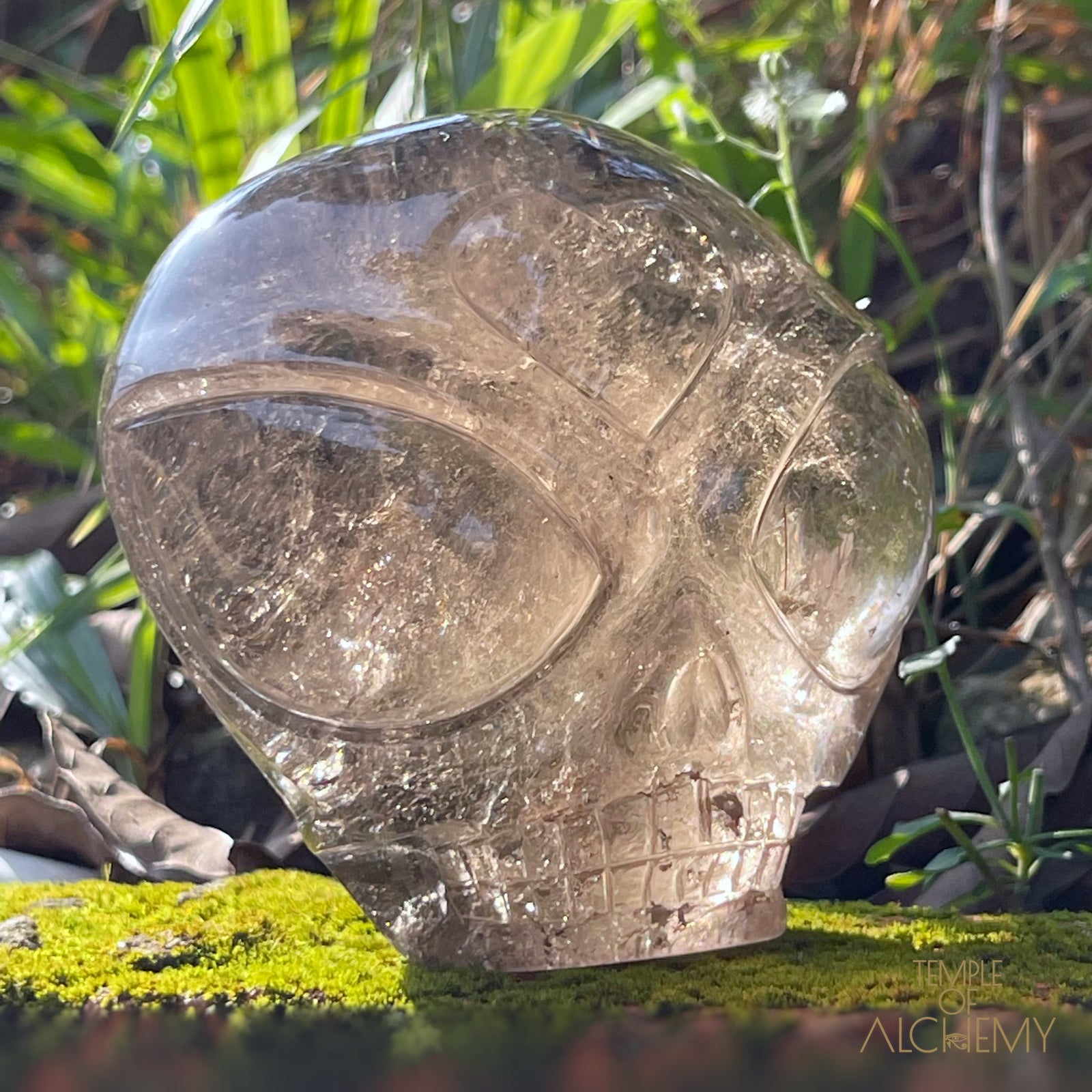 Smoky Quartz X Golden Rutiles