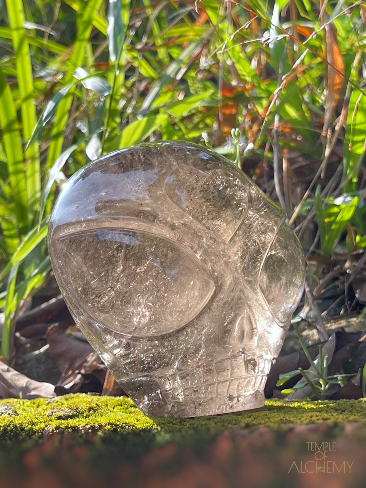 Smoky Quartz X Golden Rutiles