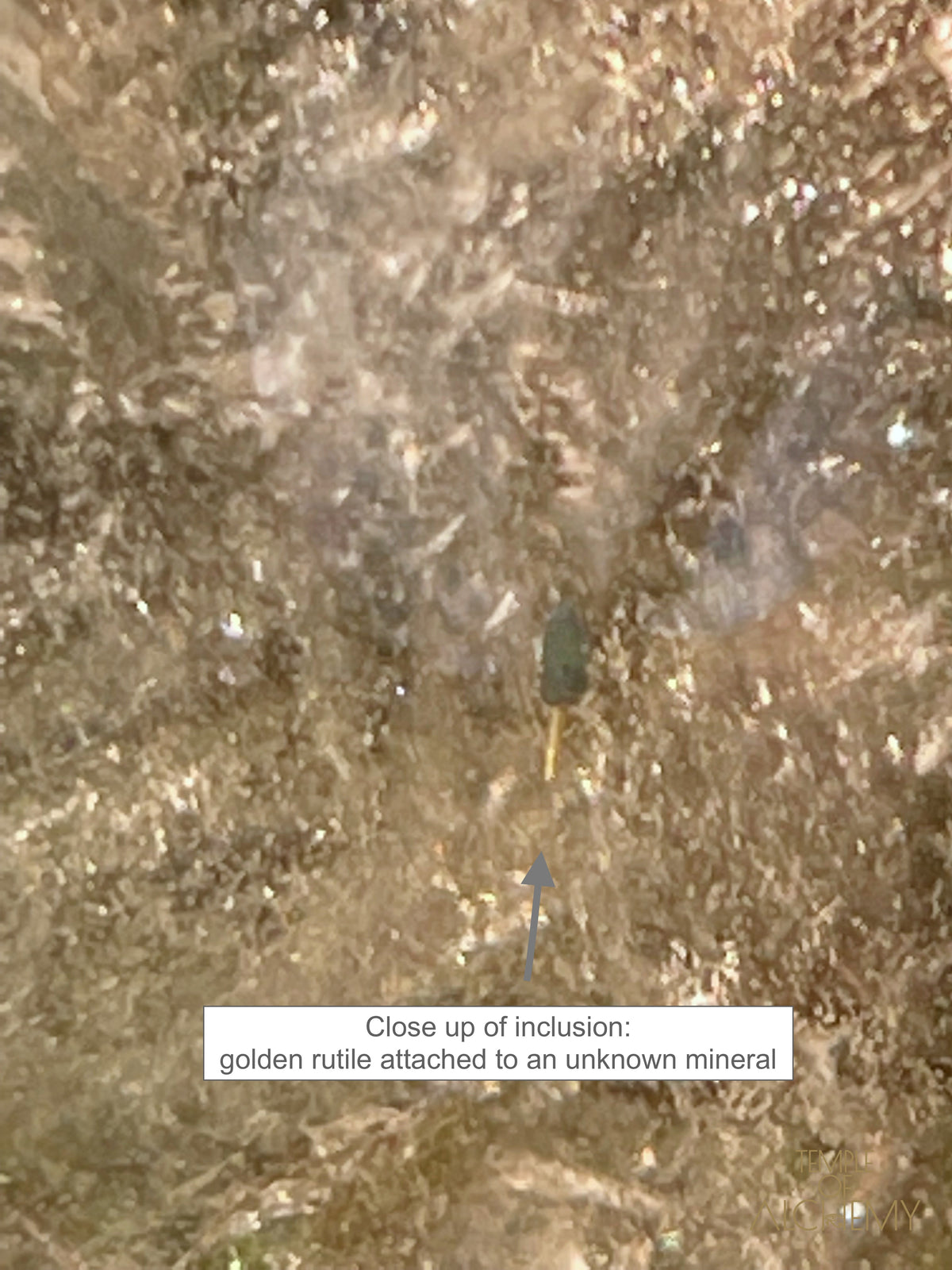 Smoky Quartz X Golden Rutiles