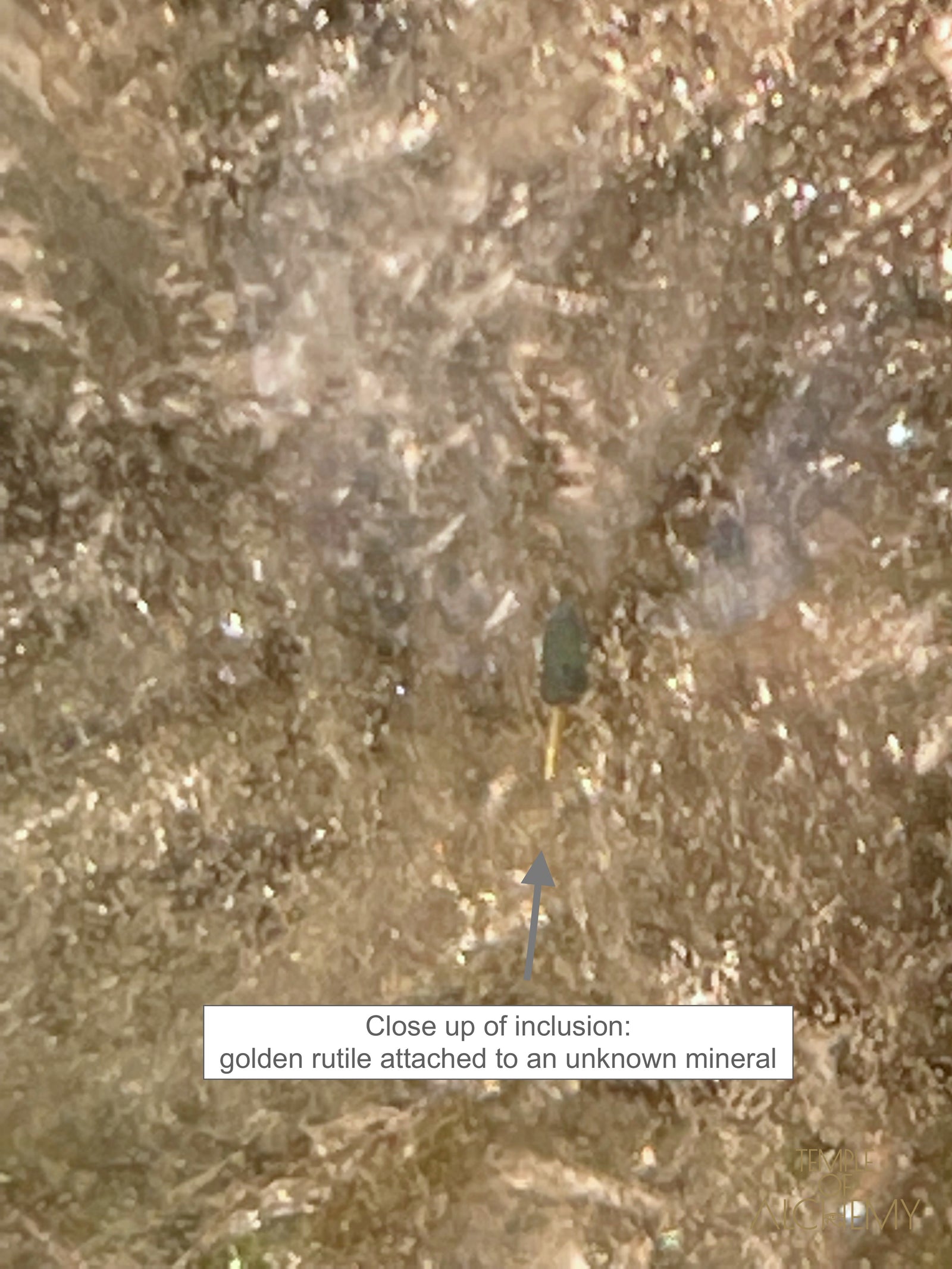 Smoky Quartz X Golden Rutiles