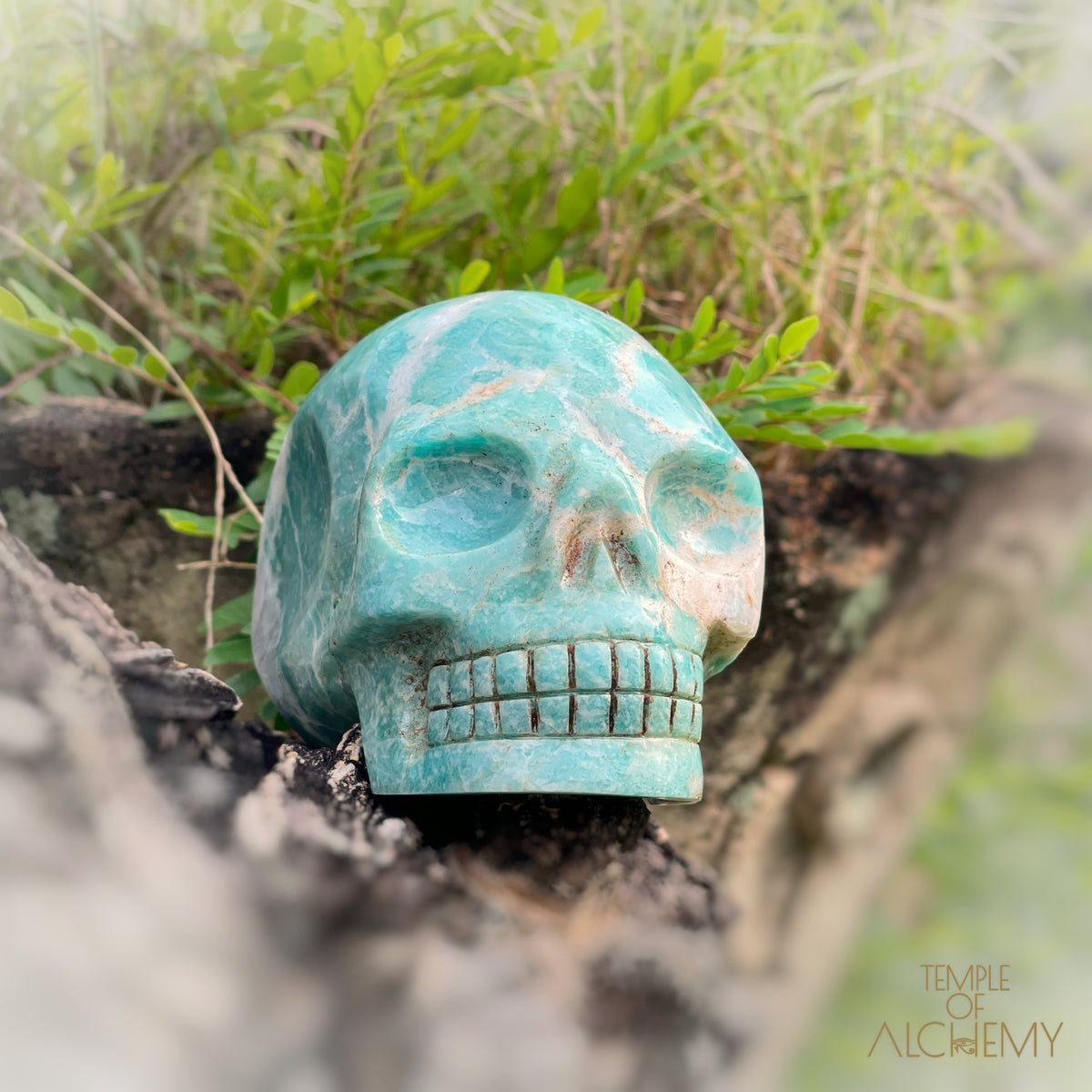 Amazonite x Black Tourmaline