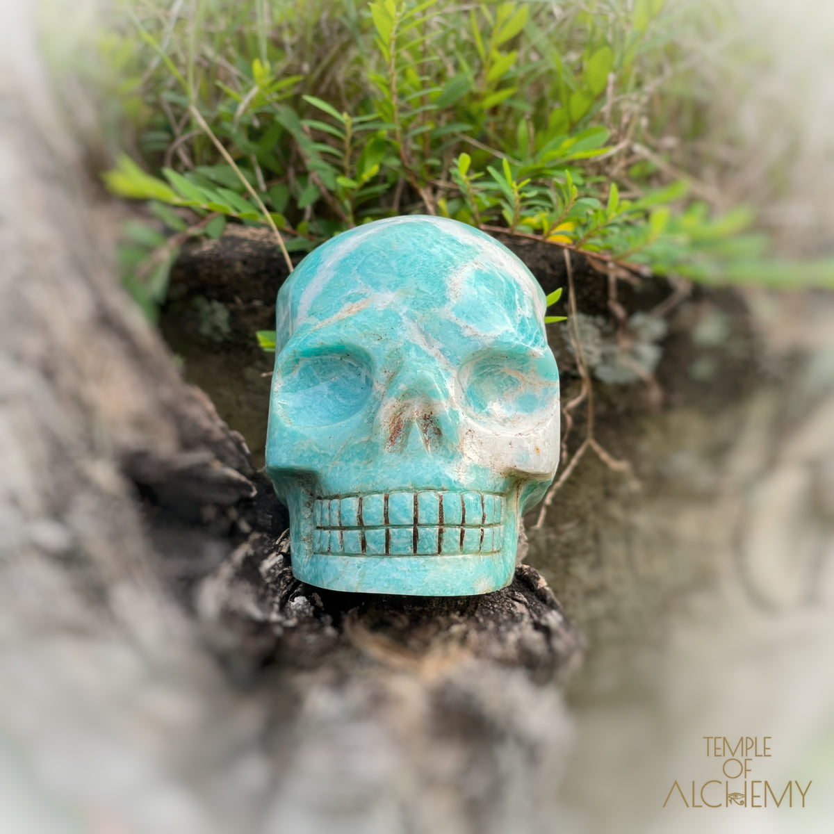 Amazonite x Black Tourmaline