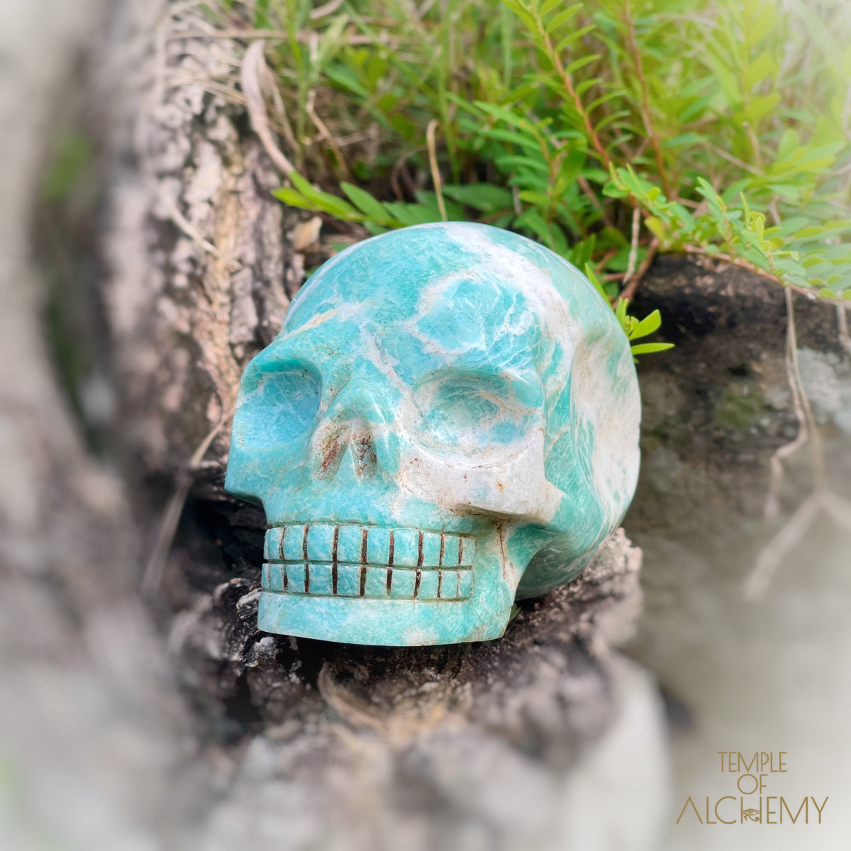 Amazonite x Black Tourmaline