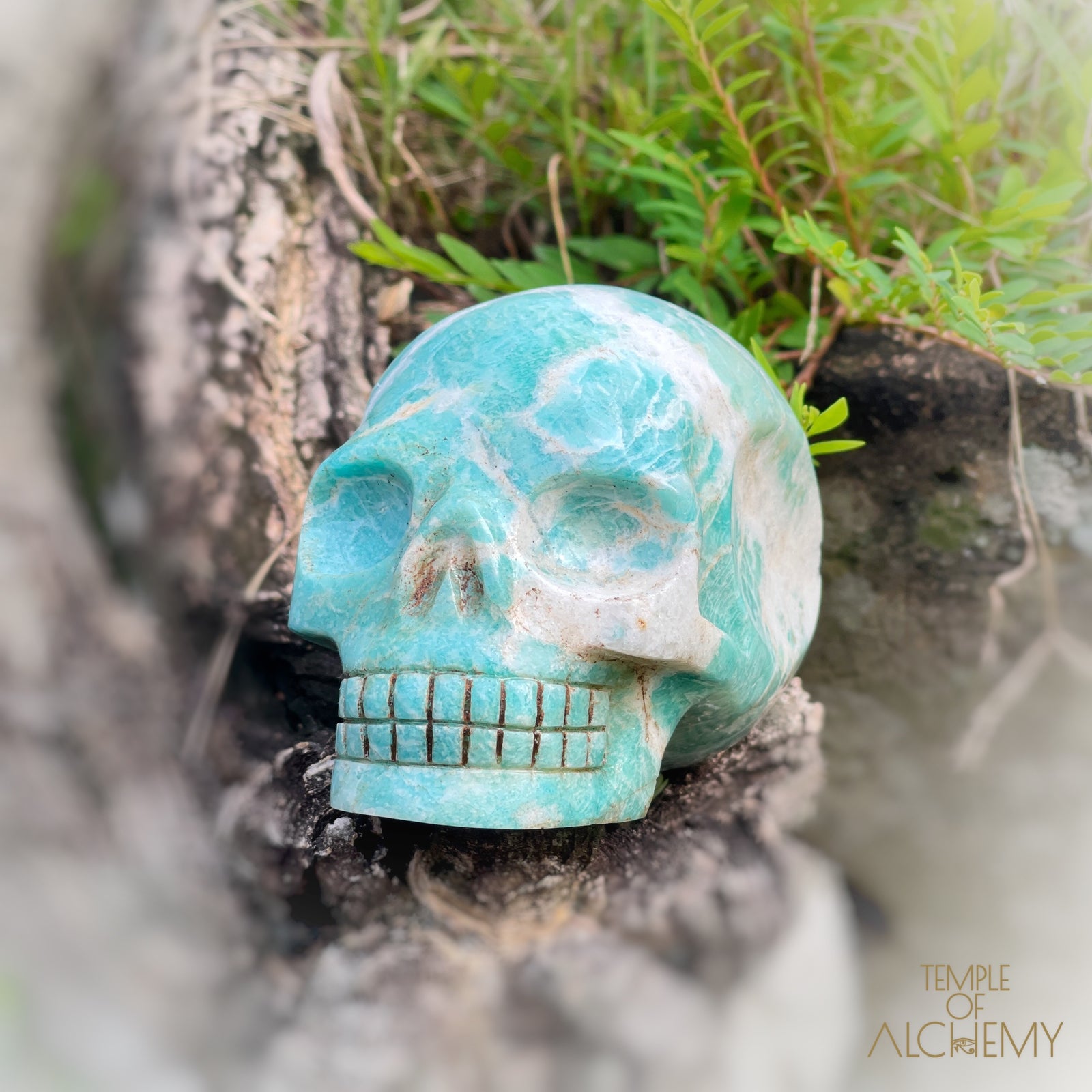 Amazonite x Black Tourmaline