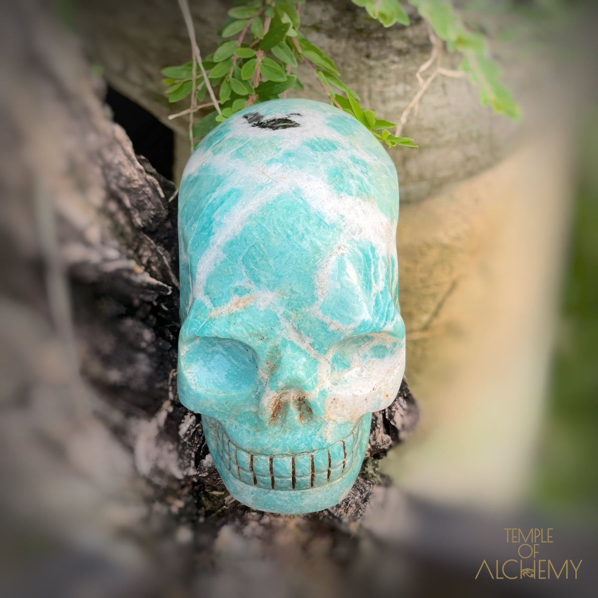 Amazonite x Black Tourmaline