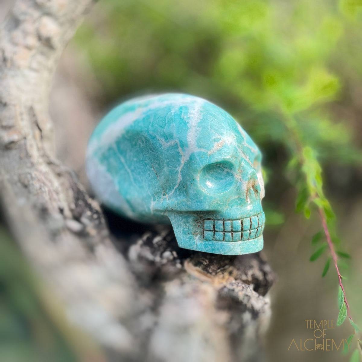 Amazonite x Black Tourmaline