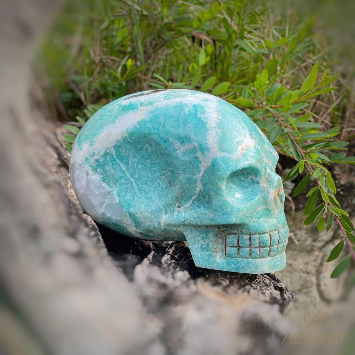 Amazonite x Black Tourmaline