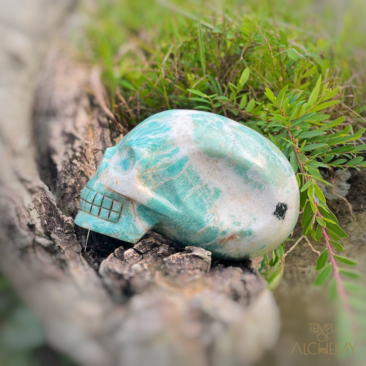 Amazonite x Black Tourmaline