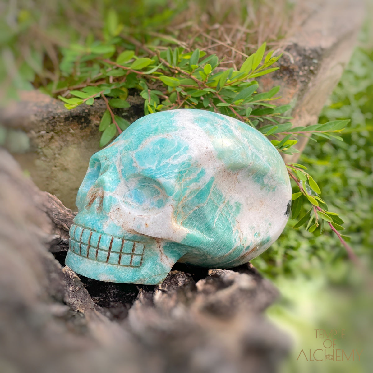 Amazonite x Black Tourmaline