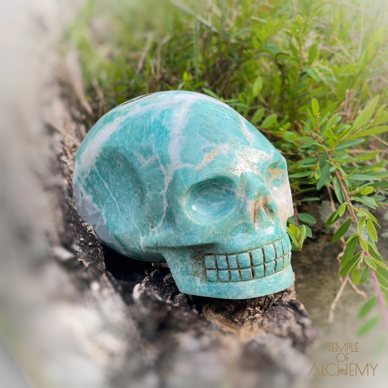 Amazonite x Black Tourmaline