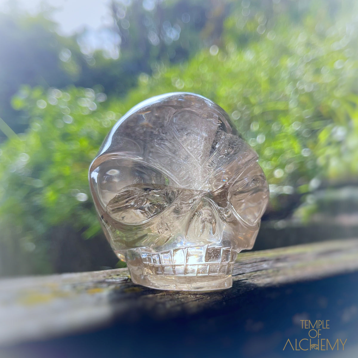 Citrine 👁🌈👁