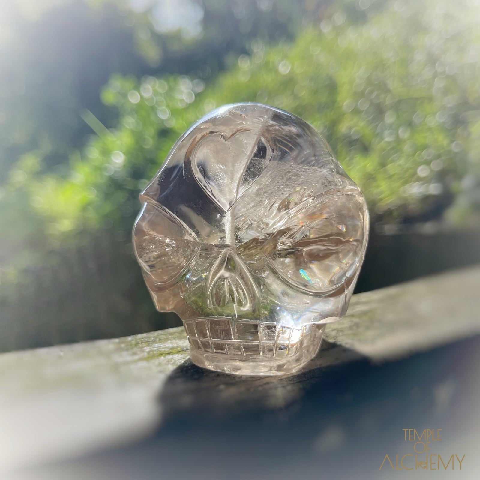 Citrine 👁🌈👁